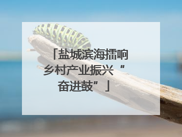 盐城滨海擂响乡村产业振兴“奋进鼓”