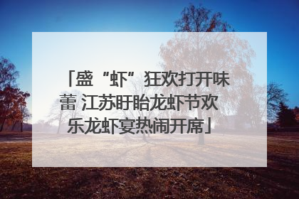 盛“虾”狂欢打开味蕾 江苏盱眙龙虾节欢乐龙虾宴热闹开席