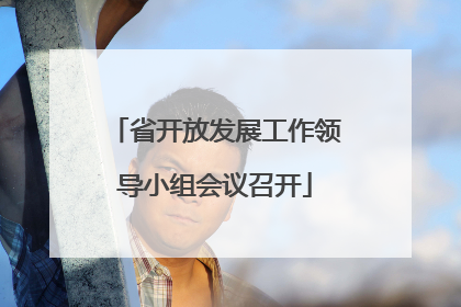 省开放发展工作领导小组会议召开
