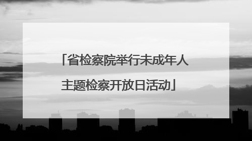 省检察院举行未成年人主题检察开放日活动