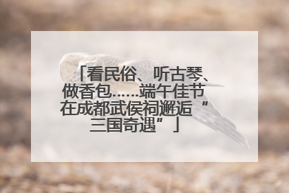 看民俗、听古琴、做香包……端午佳节在成都武侯祠邂逅“三国奇遇”