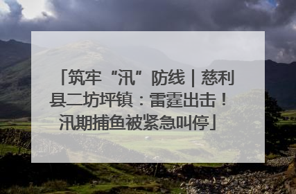 筑牢“汛”防线｜慈利县二坊坪镇：雷霆出击！汛期捕鱼被紧急叫停