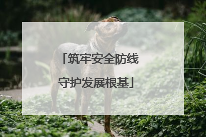 筑牢安全防线 守护发展根基