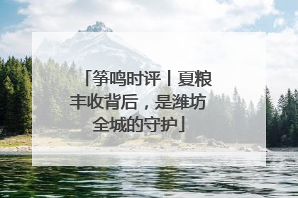 筝鸣时评丨夏粮丰收背后，是潍坊全城的守护