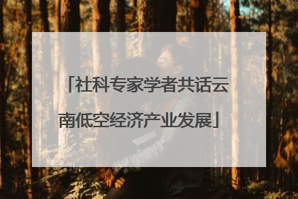 社科专家学者共话云南低空经济产业发展