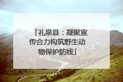 礼泉县：凝聚宣传合力构筑野生动物保护防线