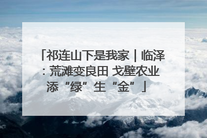 祁连山下是我家｜临泽：荒滩变良田 戈壁农业添“绿”生“金”