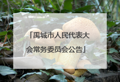 禹城市人民代表大会常务委员会公告