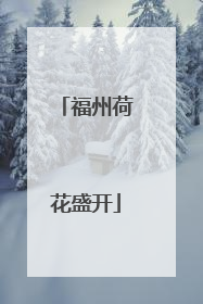 福州荷花盛开