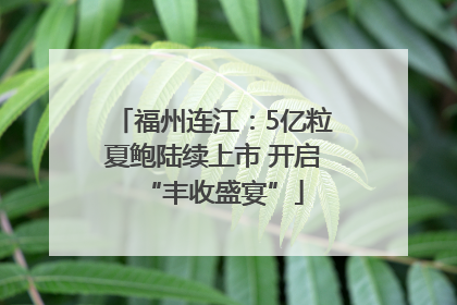 福州连江：5亿粒夏鲍陆续上市 开启“丰收盛宴”