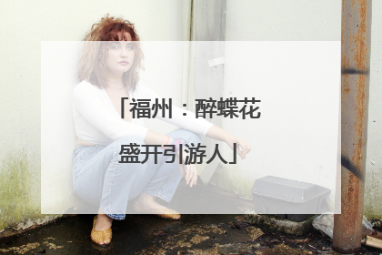 福州：醉蝶花盛开引游人