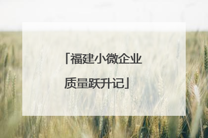 福建小微企业质量跃升记