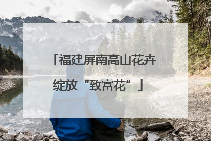 福建屏南高山花卉绽放“致富花”