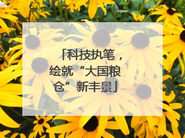 科技执笔，绘就“大国粮仓”新丰景