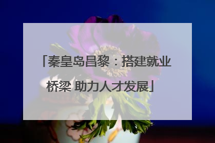 秦皇岛昌黎：搭建就业桥梁 助力人才发展
