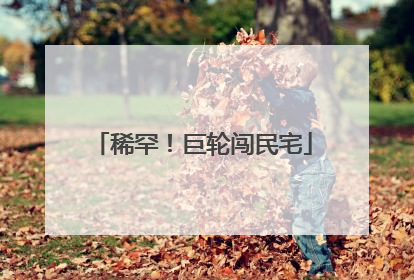 稀罕！巨轮闯民宅