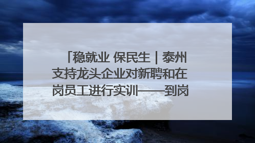 稳就业 保民生｜泰州支持龙头企业对新聘和在岗员工进行实训——到岗就能用 用了就见效