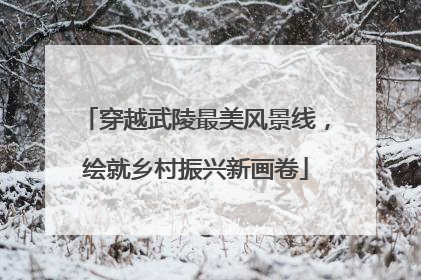 穿越武陵最美风景线，绘就乡村振兴新画卷