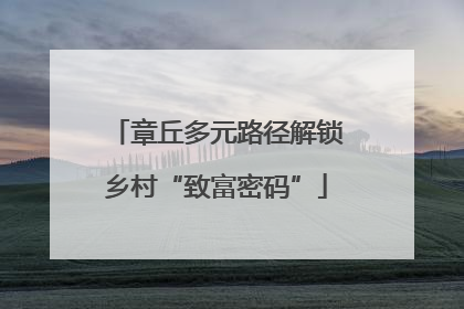 章丘多元路径解锁乡村“致富密码”