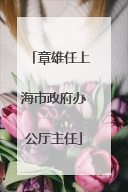章雄任上海市政府办公厅主任