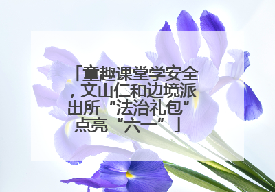 童趣课堂学安全，文山仁和边境派出所“法治礼包”点亮“六一”