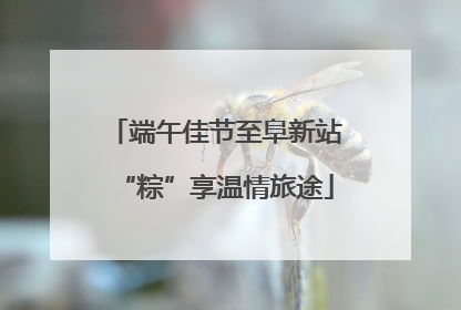端午佳节至阜新站“粽”享温情旅途