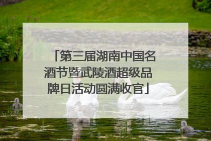 第三届湖南中国名酒节暨武陵酒超级品牌日活动圆满收官