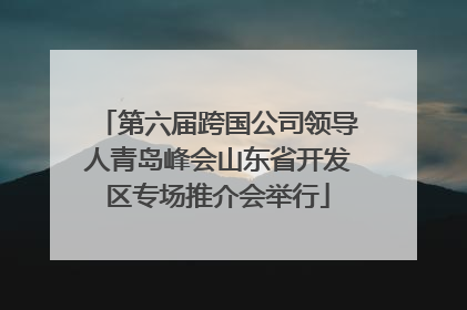第六届跨国公司领导人青岛峰会山东省开发区专场推介会举行