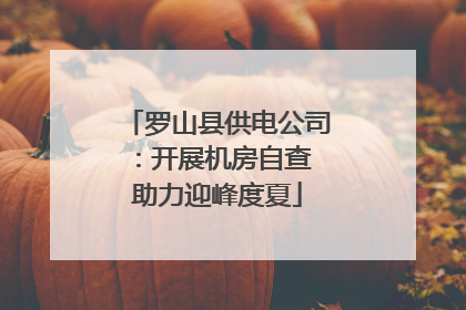 罗山县供电公司：开展机房自查 助力迎峰度夏