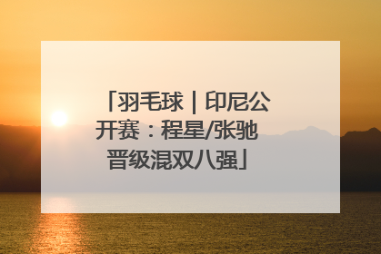 羽毛球｜印尼公开赛：程星/张驰晋级混双八强