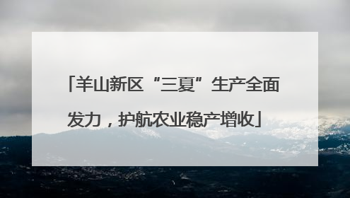 羊山新区“三夏”生产全面发力，护航农业稳产增收