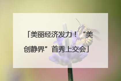 美丽经济发力！“美创静界”首秀上交会