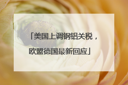 美国上调钢铝关税，欧盟德国最新回应