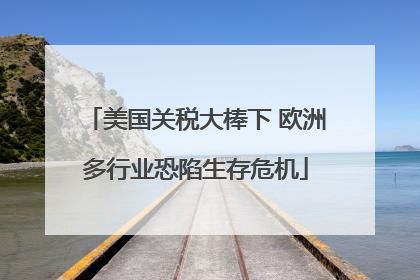 美国关税大棒下 欧洲多行业恐陷生存危机