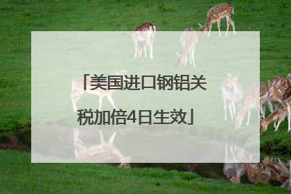 美国进口钢铝关税加倍4日生效