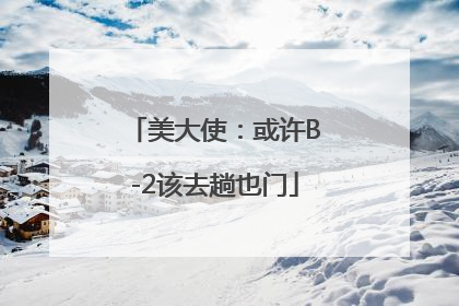 美大使：或许B-2该去趟也门