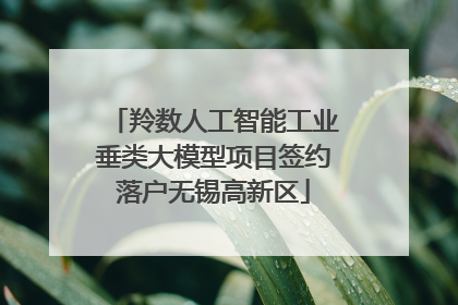 羚数人工智能工业垂类大模型项目签约落户无锡高新区
