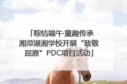 粽情端午·童趣传承 湘潭湖湘学校开展“致敬屈原”PDC项目活动