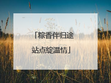 粽香伴归途 站点绽温情