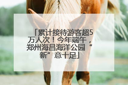 累计接待游客超5万人次！今年端午，郑州海昌海洋公园“新”意十足