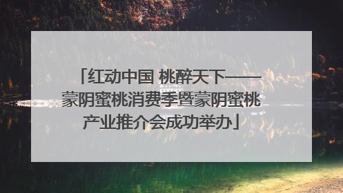 红动中国 桃醉天下——蒙阴蜜桃消费季暨蒙阴蜜桃产业推介会成功举办