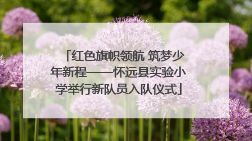 红色旗帜领航 筑梦少年新程——怀远县实验小学举行新队员入队仪式