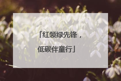 红领绿先锋，低碳伴童行