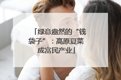 绿意盎然的“钱袋子”：高原夏菜成富民产业