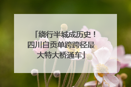 绕行半城成历史！四川自贡单跨跨径最大特大桥通车