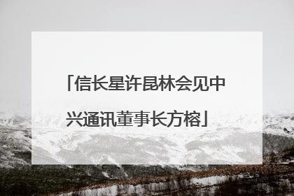 信长星许昆林会见中兴通讯董事长方榕