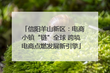 信阳羊山新区：电商小镇“链”全球 跨境电商点燃发展新引擎