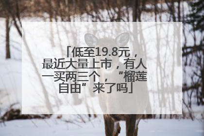 低至19.8元，最近大量上市，有人一买两三个，“榴莲自由”来了吗