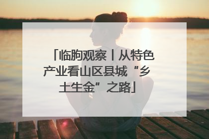 临朐观察丨从特色产业看山区县城“乡土生金”之路