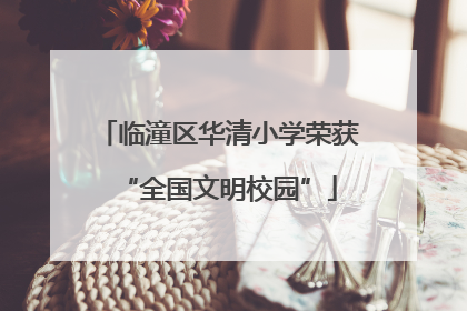 临潼区华清小学荣获“全国文明校园”